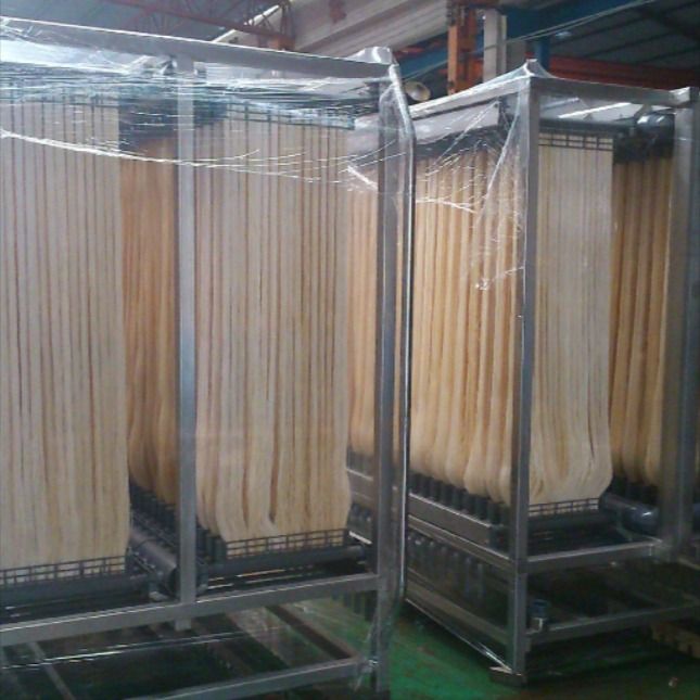 Membrane Bioreactor